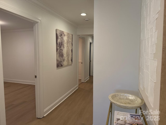 3332 Draper Ave, Charlotte, NC 28205 - photo 26