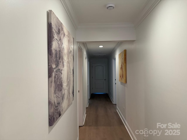 3332 Draper Ave, Charlotte, NC 28205 - photo 27