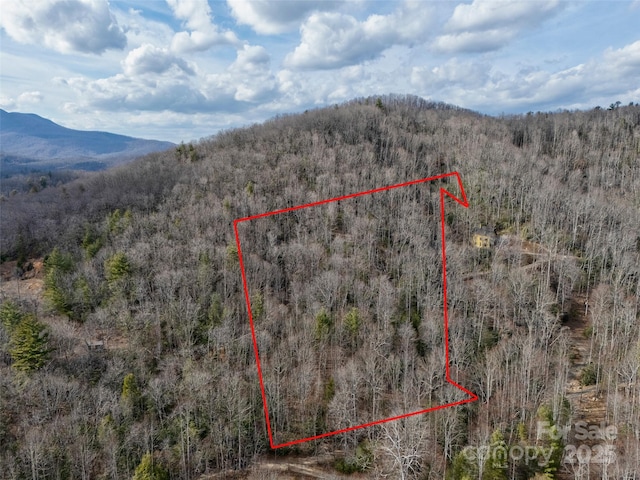 9999 Murphy Branch Rd, Burnsville NC, 28714 land for sale