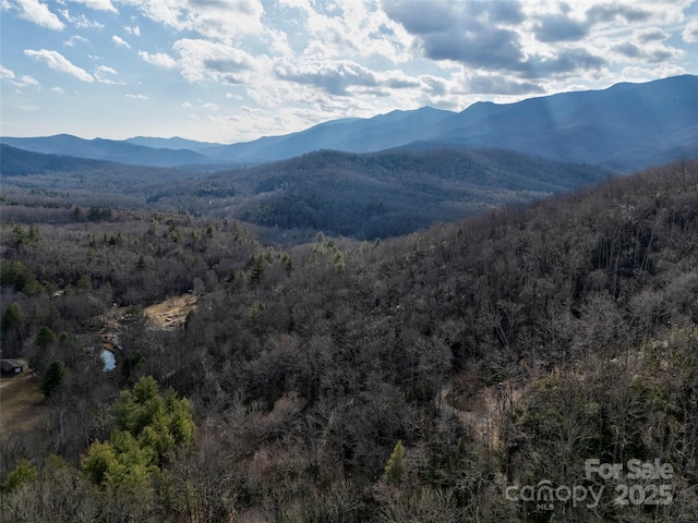 Listing photo 2 for 9999 Murphy Branch Rd, Burnsville NC 28714