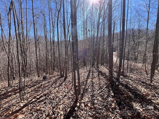 Listing photo 2 for LOT156 Kenwood Ct, Marion NC 28752