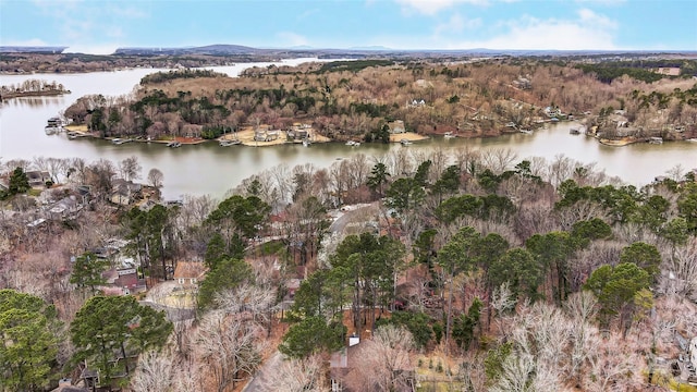 drone / aerial view with a view of trees and a water view