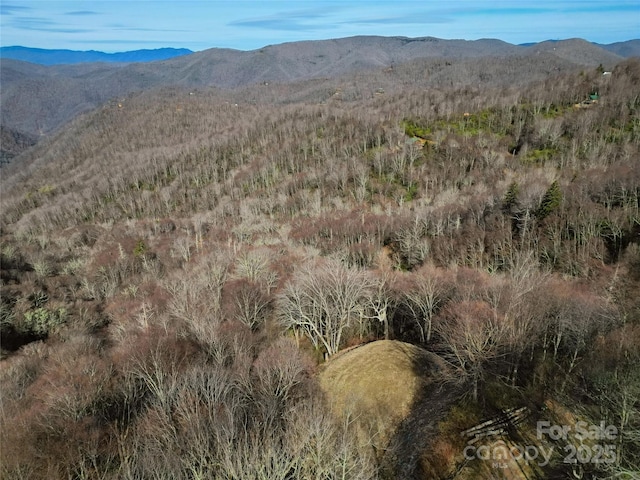 3716 Plott Balsam Rd Unit 77, Maggie Valley NC, 28751 land for sale