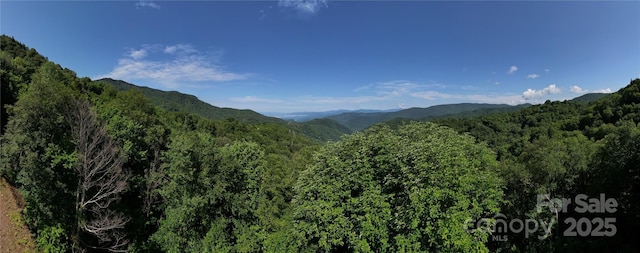 3716 Plott Balsam Rd Unit 77, Maggie Valley, NC 28751 - photo 2