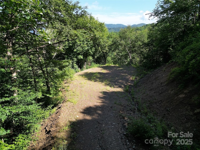 3716 Plott Balsam Rd Unit 77, Maggie Valley, NC 28751 - photo 3