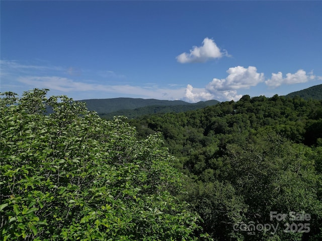 3716 Plott Balsam Rd Unit 77, Maggie Valley, NC 28751 - photo 4