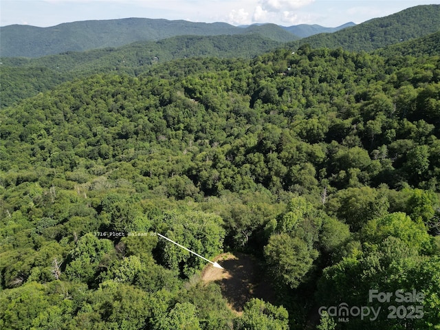 3716 Plott Balsam Rd Unit 77, Maggie Valley, NC 28751 - photo 5