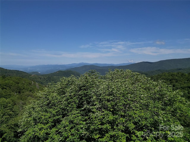 3716 Plott Balsam Rd Unit 77, Maggie Valley, NC 28751 - photo 7