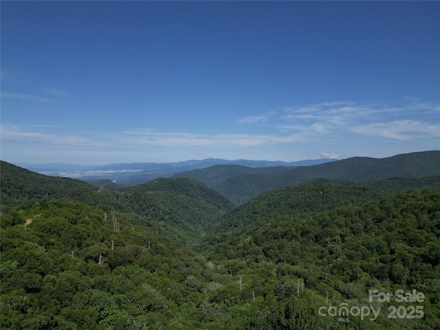 3716 Plott Balsam Rd Unit 77, Maggie Valley, NC 28751 - photo 13