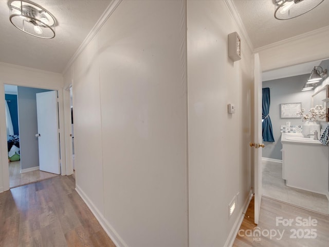 hall featuring ornamental molding, a textured ceiling, and light wood-type flooring