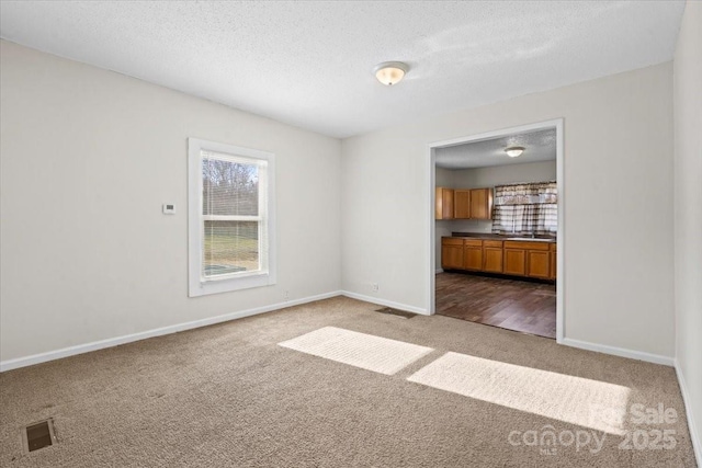 carpeted empty room featuring sink and a textured ceiling