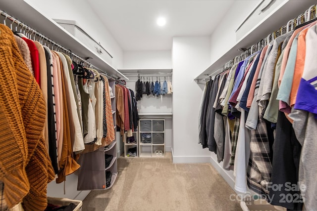 walk in closet featuring carpet floors