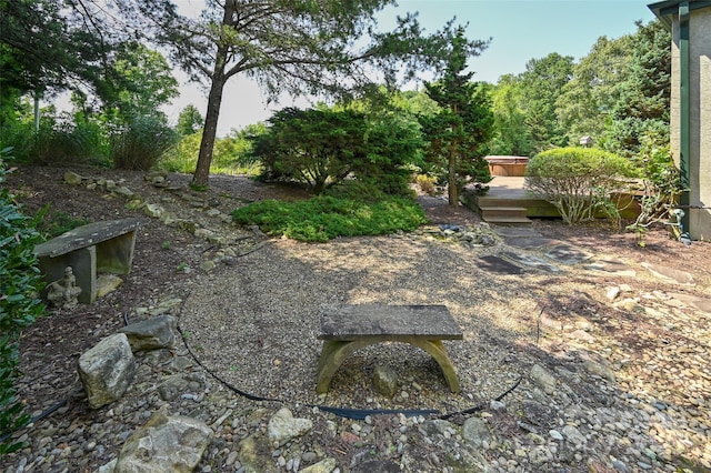 view of yard with a deck