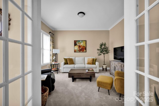 carpeted living area featuring ornamental molding and baseboards