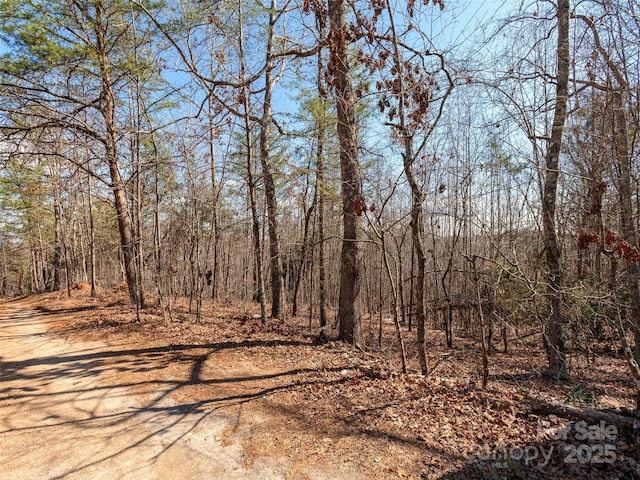 Listing photo 2 for 00 George Parker Dr, Rutherfordton NC 28139