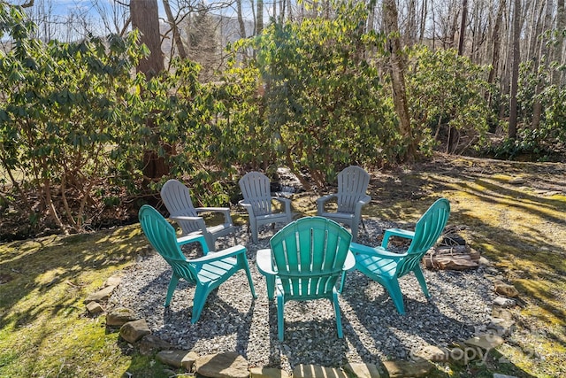 view of yard with a patio area