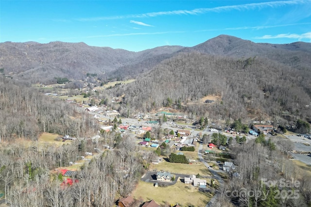 property view of mountains