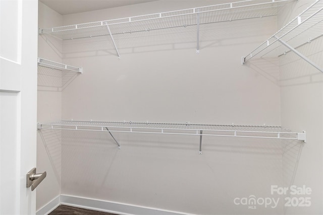 spacious closet featuring wood finished floors