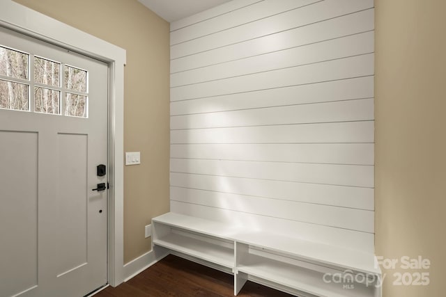 mudroom featuring dark wood-type flooring