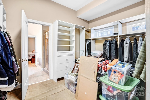 walk in closet featuring light colored carpet