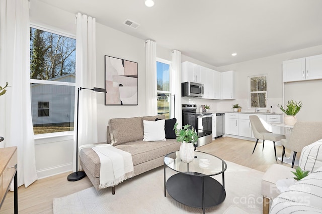 living room featuring light wood-type flooring and plenty of natural light