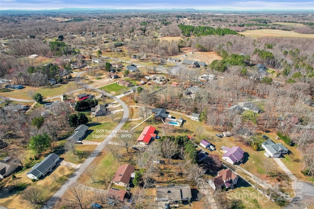 bird's eye view