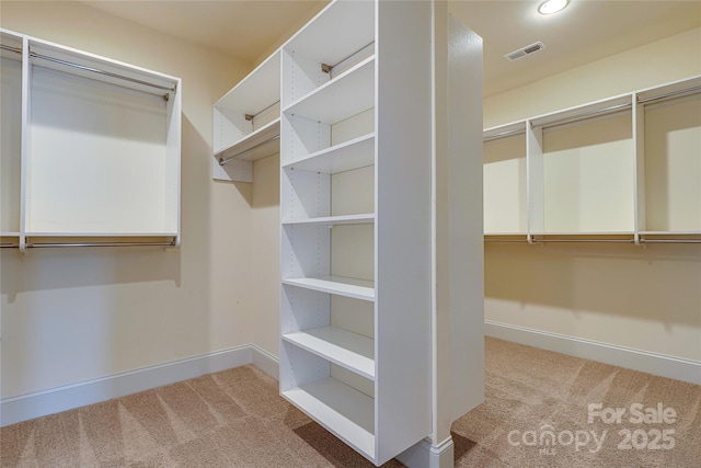 walk in closet with light colored carpet