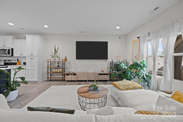 living room featuring light wood-type flooring