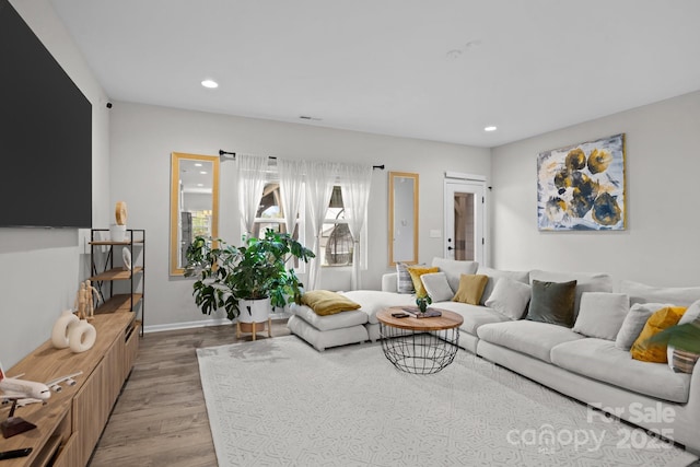 living room with light wood-type flooring