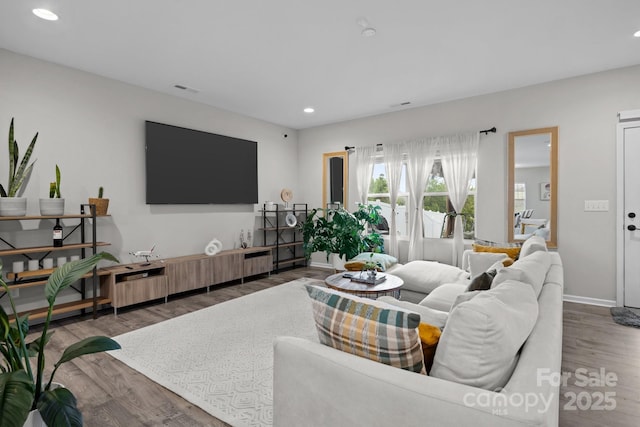 living room featuring wood-type flooring