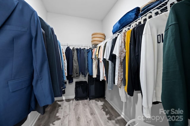 spacious closet with wood-type flooring