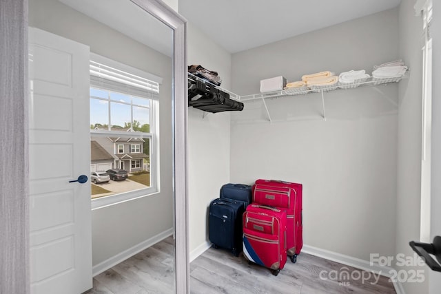 spacious closet featuring hardwood / wood-style floors