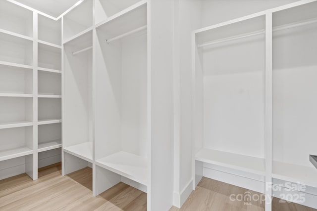 spacious closet featuring wood finished floors