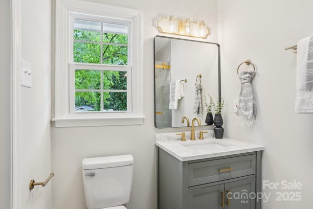 full bathroom featuring vanity, walk in shower, and toilet