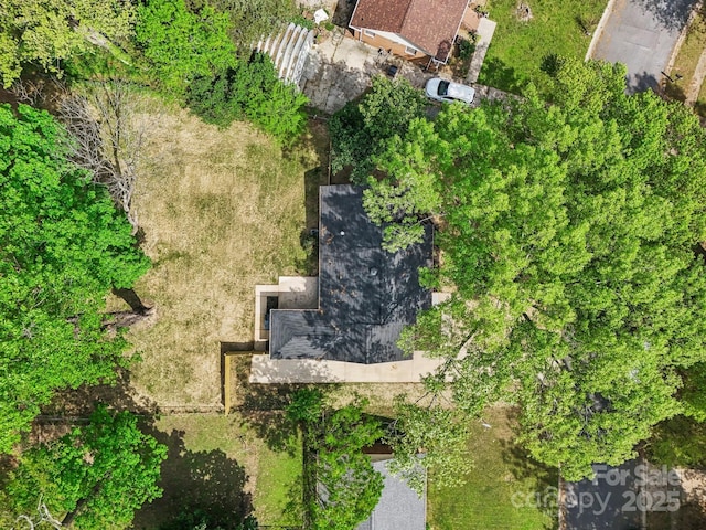 bird's eye view