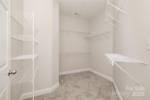 spacious closet featuring light carpet