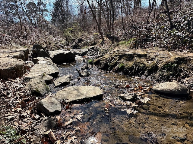 view of local wilderness