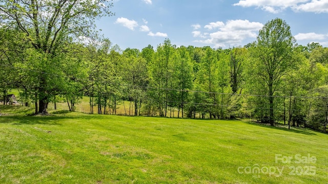 view of yard with a forest view