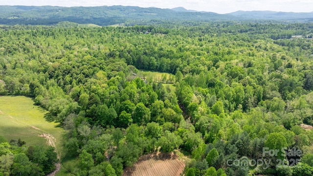 aerial view with a view of trees and a mountain view