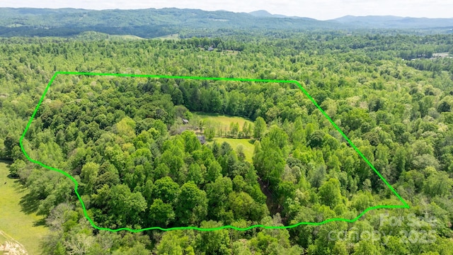 bird's eye view with a mountain view and a wooded view
