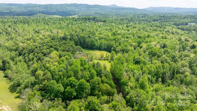 bird's eye view with a mountain view and a wooded view