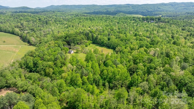 drone / aerial view with a view of trees and a mountain view