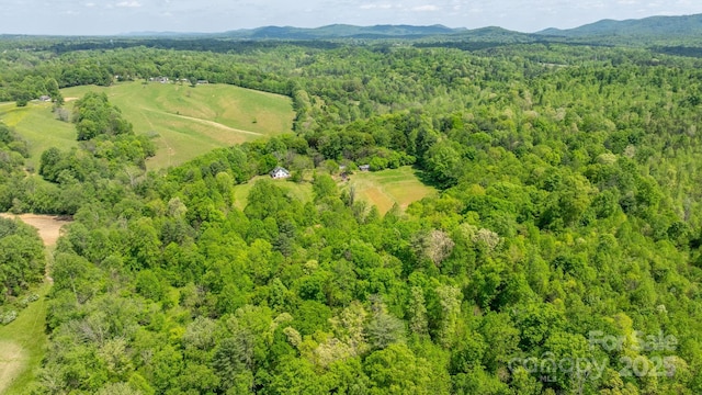 aerial view with a mountain view and a forest view