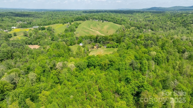 bird's eye view featuring a forest view and a mountain view