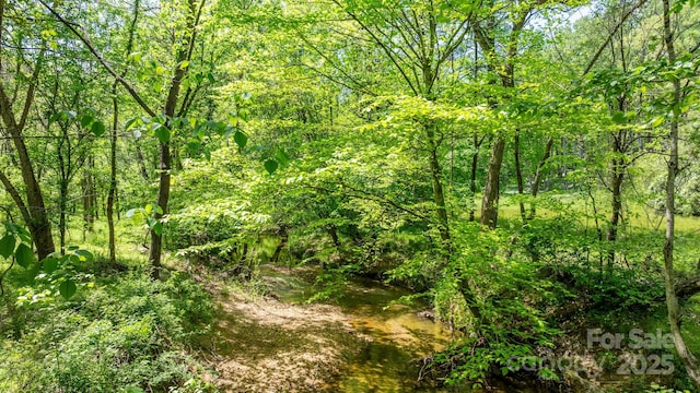 view of landscape with a wooded view