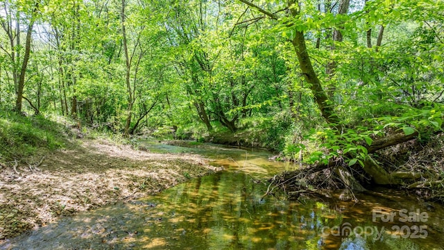 view of nature