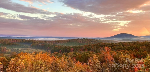 mountain view featuring a view of trees