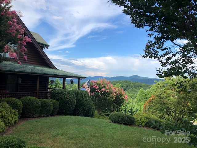 view of yard featuring a mountain view