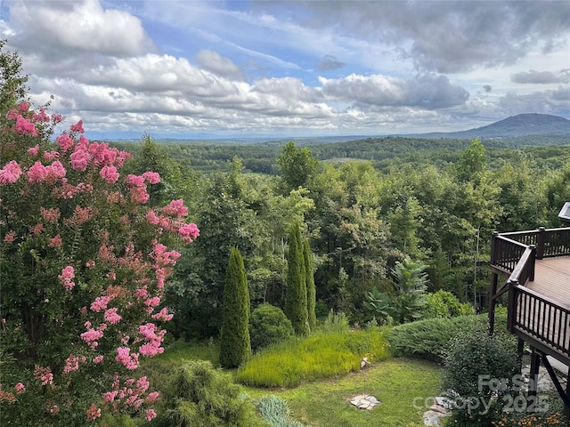 mountain view featuring a wooded view