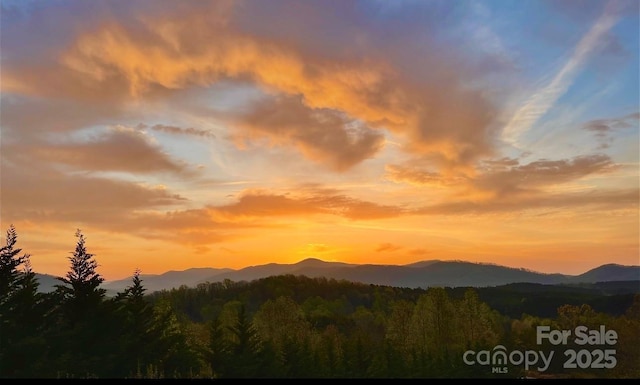 202 Panorama Dr, Nebo, NC 28761 - view of mountain background with a forest